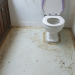 Thumbnail image for The Widder Curry Asks: When the toilet overflows, is it a “flood”?