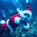 Thumbnail image for Does Obama have the Blues? Does Santa live underwater? Slow Whales, Good Props and more …