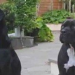 Thumbnail image for Local TV Report: Ocean Beach Vet-Tech Dog Owner Is Certain Her Dogs Were Poisoned