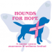 Thumbnail image for Hounds for Hope Walk – A Canine Cancer Awareness and Wellness Festival
