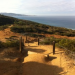 Thumbnail image for Field of View: Torrey Pines State National Reserve