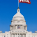 Thumbnail image for Gabby Giffords: A Senate in the Gun Lobby’s Grip