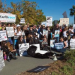 Thumbnail image for Protest at SeaWorld on January 19th