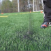 Thumbnail image for Toxic Turf? Movement Grows Against Synthetic Turf