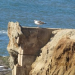 Thumbnail image for Vandalism, Erosion and Repairs at Sunset Cliffs Natural Park