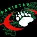 Thumbnail image for Blackwater’s Secret War in Pakistan