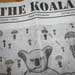 Thumbnail image for ‘My continuing struggle against the Koala Klan at Cal State San Marcos’